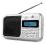 Przenośne cyfrowe Radio z RDS Dual DAB/FM 4 DAB