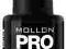 LAKIER  HYBRYDOWY(MOLLON) TOP COAT 15ml  za 51,90