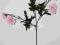 Dzika róża-sztuczne kwiaty jak żywe od Amidex