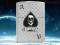 $$$ ZAPALNICZKA ZIPPO 8895 ACE OF SPADES N SKULL $