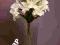 Lilie kremowe Sztuczne kwiaty