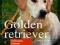Golden retriever Rasy psów Wagner
