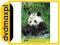 dvdmaxpl ANIMAL PLANET: PANDA - ULUBIENIEC ŚWIATA