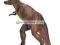 SCHLEICH TYRANNOSAURUS REX