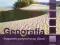 GEOGRAFIA 1 podręcznik podst/rozszerz ORTUS nowy