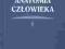 Bochenek, Reicher - Anatomia człowieka tom 5