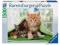 Ravensburger puzzle 1500 puzle Koty Kotki W-wa