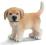 Schleich Golden Retriever, suczka - 16378 Wwa 24h