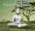 greatest_hits BUDDHATTITUDE - ALAAFIYA (CD)