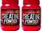 ActivLab Creatine 2x500g [1000g] TANIO!