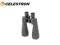 CELESTRON  SKYMASTER 15x70