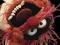 The Muppets Animal - plakat 40x50 cm