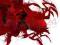 Dragon Age Origins Awakening Classic PC PL
