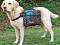 Trixie - plecak dla psa L