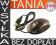MYSZKA MYSZ OPTYCZNA USB PODŚWIETLANA ROLKA