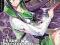 Highschool of the Dead - 2 - Manga. WysokiZamek