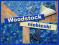Dywan Dywany Woodstock 50x80niebieski KAŻDY WYMIAR