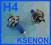 Żarówki H4 Xenon BLUE 55W 100W 12v żarówka halogen