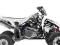 Blackbird okleina - naklejka  Suzuki LTR 450