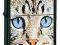 zapalniczka ZIPPO 28040 CAT BLACK MATTE W-wa