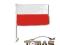 FLAGA POLSKI NA EURO KIBIC KIBICA NA SZYBE FANA