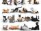 CATS YOGA (031) - Plakat Plakaty PGB-GN0578