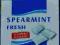 DUKAN Guma do żucia spearmint Jetgum 1+1gratis