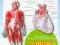 Atlas anatomiczny Literat 2011 + 3 PLATATY GRATIS