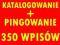 *KATALOGOWANIE 350szt + PINGOWANIE POZYCJONOWANIE*