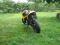 Cagiva Super City 125 (mito SM supermoto TZR)