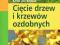 Cięcie drzew i krzewów ozdobnych krok po kroku