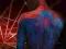 Niesamowity Spider-Man - Back - plakat 61x91,5 cm