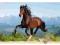 PUZZLE 1500 ELEMENTÓW UKŁADANKA OBRAZ KOŃ GALOP
