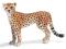 GEPARD SAMICA 14614 figurka Schleich