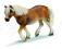 Klacz Haflinger '06 13606 figurka Schleich