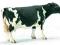 Krowa rasy Holstein 13633 figurka Schleich