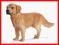 Schleich Golden Retriever