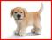 Schleich Golden Retriever, Suczka new 09