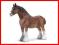 Schleich Ogier Rasy Clydesdale new 2010