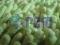 AQUA-STAR Rękawica z mikrowłókien Jeżyk zielona