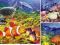 PODWODNY ŚWIAT puzzle 3x49 el 093106 RAVENSBURGER