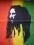 BOB MARLEY - reggae naszywka ekran 35x43