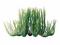 Tetra DecoArt Hairgrass dł 15cm - roślina sztuczna