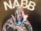 NABB - IN THE ZONE MAHA MUSIC - CD