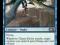 Chasm Drake x4 - Common M2012 DarekMTG