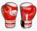 Rękawice Bokserskie TARGET PRO skóra DRAGON _ 14oz