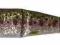 Guma Soft4PLAY Rainbow Smolt 9,5cm/7,5g 43453