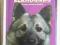 NORWEGIAN ELKHOUNDS ELKHOUND Nicholas po angielsku