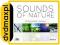 dvdmaxpl SOUNDS OF NATURE W HARMONII Z NATURĄ (5CD