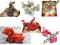 BAKUGAN ZESTAW BOJOWY + 4x BAKUGAN PREZENT OKAZJA